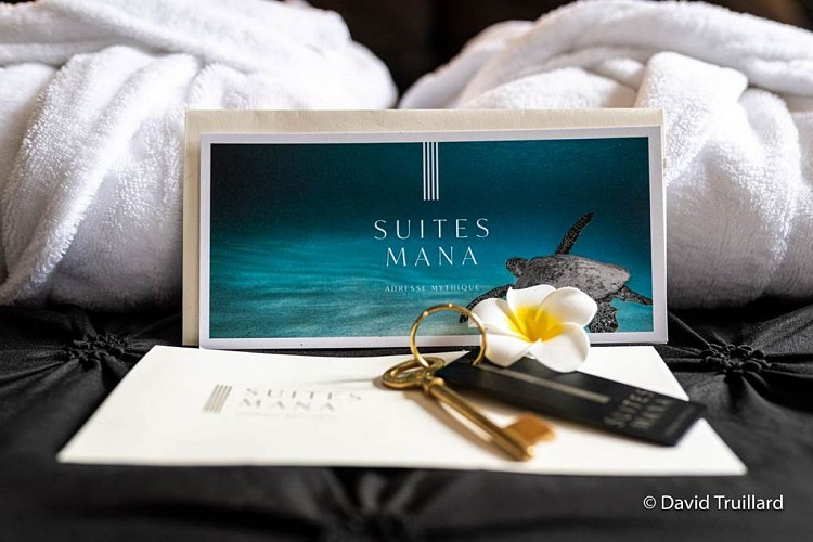 Meublé de tourisme : Suite Cupidon