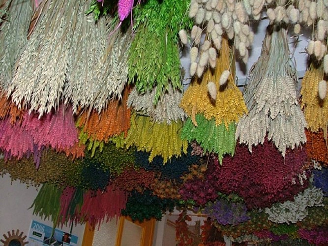 Atelier des Fleurs Séchées