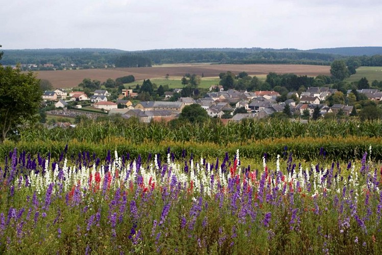 Atelier des Fleurs Séchées