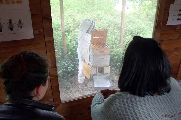 Visiteurs dans le rucher pédagogique