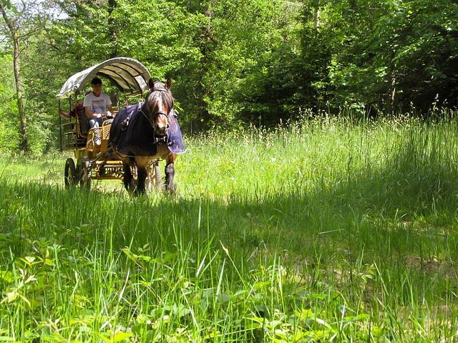 Les sabots du Relais