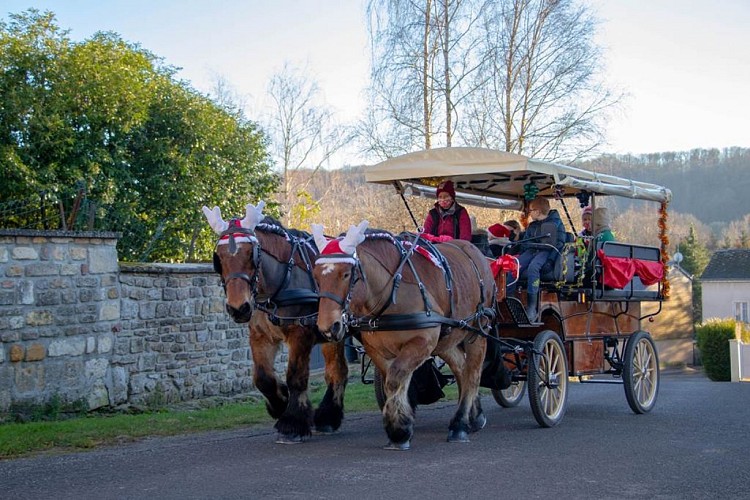 caleche_dix_personnes