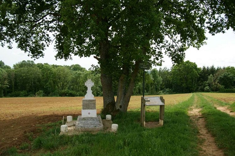 Tombe de Camille Varaigne