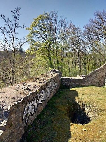 Le château des Fées ou Château du Waridon
