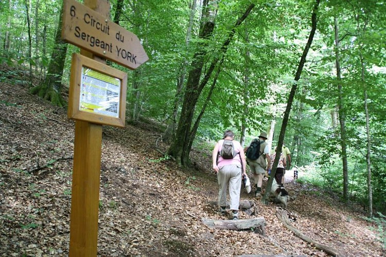 Circuit historique du Sergeant York