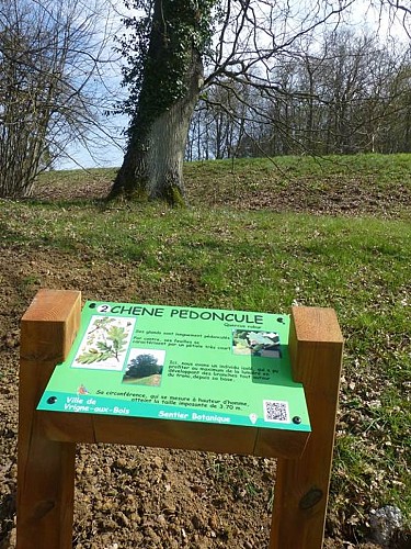 Arboretum de Vrigne Aux Bois