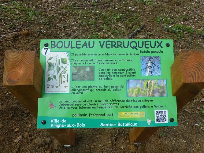 Arboretum de Vrigne Aux Bois