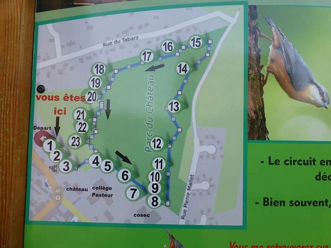 Arboretum de Vrigne Aux Bois