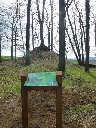 Arboretum de Vrigne Aux Bois