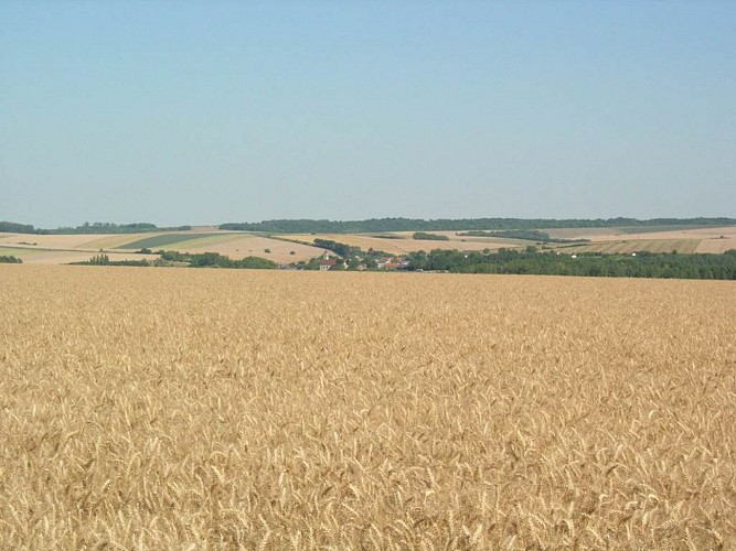 La Boucle du Porcien