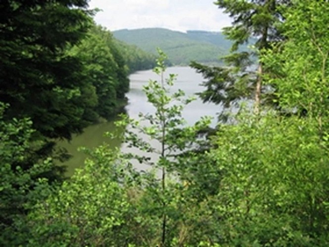 La station de transfert d'énergie par pompage