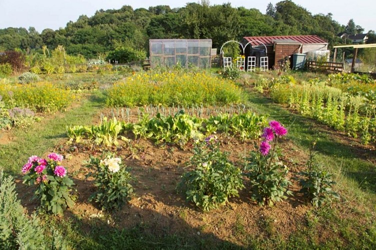 Les Jardins Ouvriers de Sedan (depuis 1892)