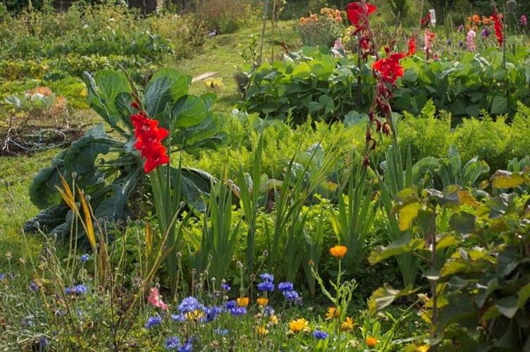 Les Jardins Ouvriers de Sedan (depuis 1892)