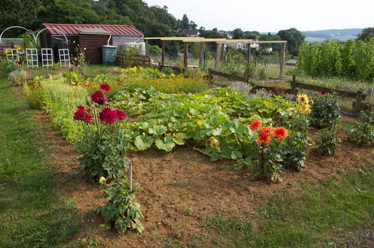 Les Jardins Ouvriers de Sedan (depuis 1892)