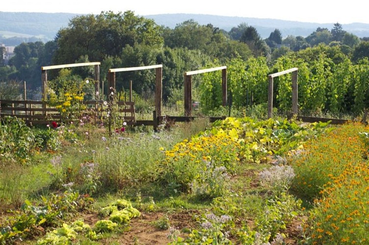 Les Jardins Ouvriers de Sedan (depuis 1892)