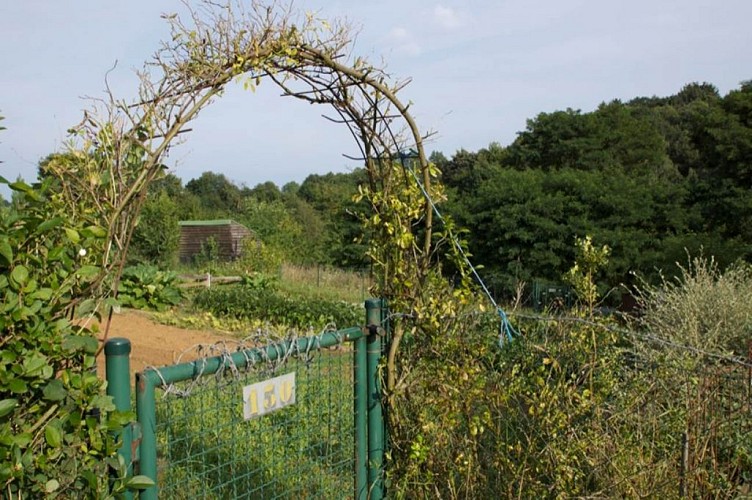 Les Jardins Ouvriers de Sedan (depuis 1892)