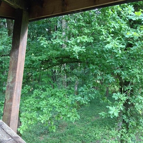 Parc Animalier de Saint-Laurent