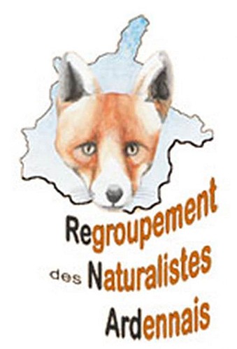 Association ReNArd