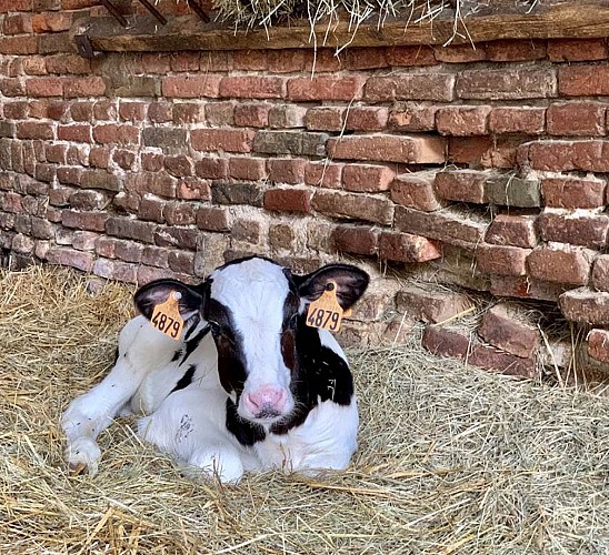 Ferme Brécy Brières