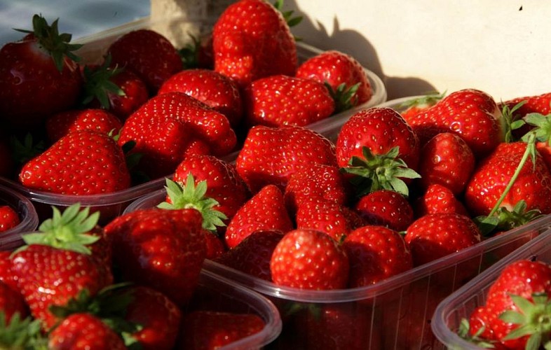 Aux fraises de Bourcq 