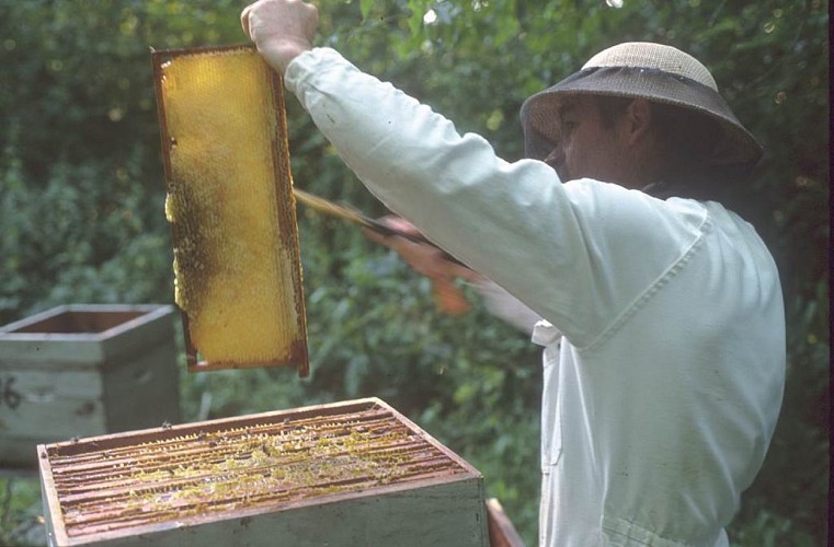 La Miellerie - Jacques Caron