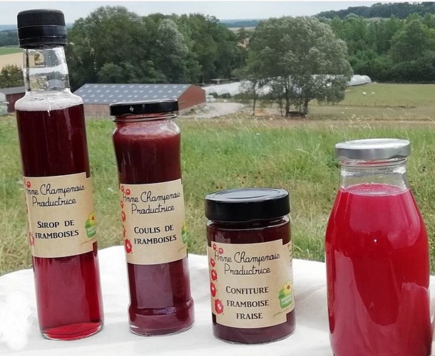 Les fruits rouges d'Anne