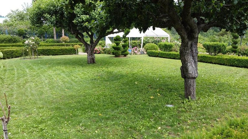 Les buffets de la Roseraie