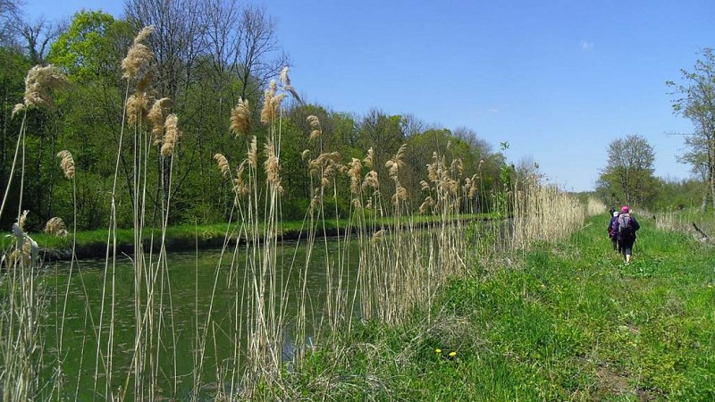 Association Randonneurs et Pèlerins 08