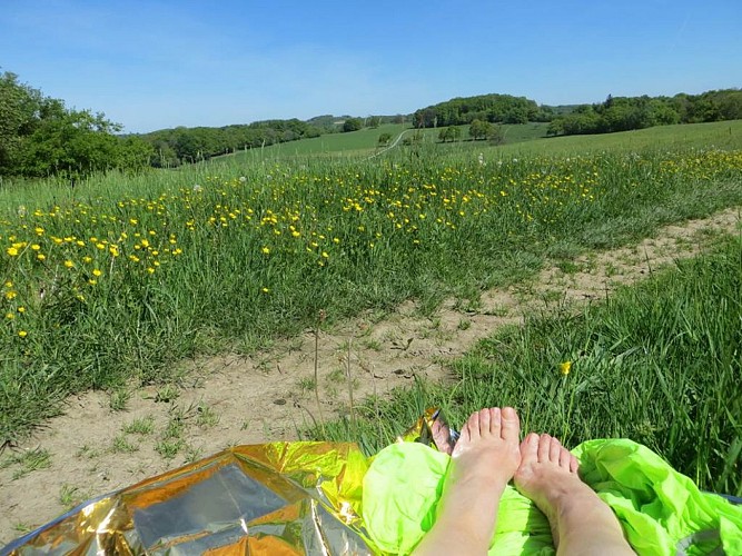 Association Randonneurs et Pèlerins 08