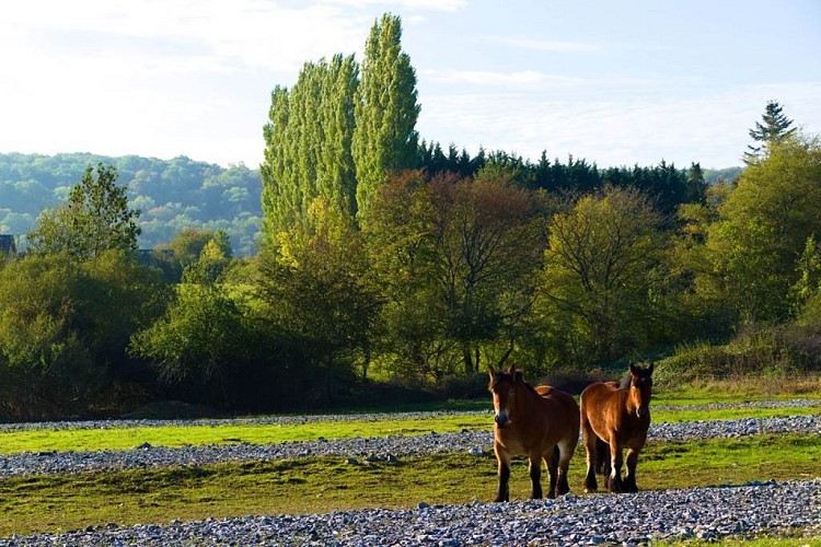 Dans les Crêtes à cheval
