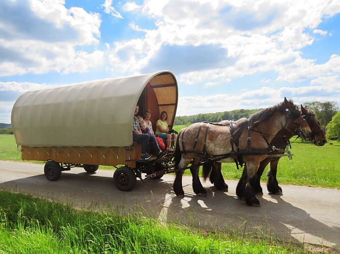 Roulotte au rythme d'Arduinna