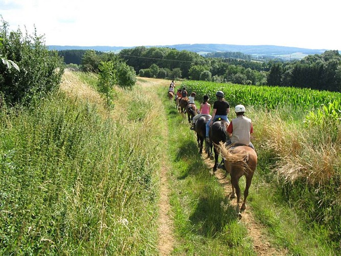 Ferme équestre de la Chenaie
