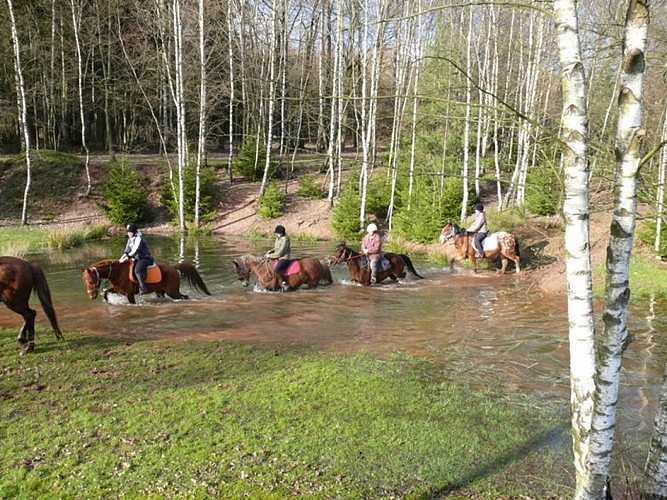 Ferme équestre de la Chenaie