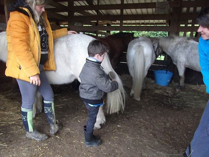 Ferme Equestre de la Yame