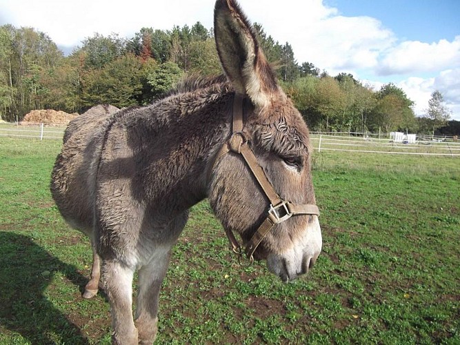 Ferme Equestre de la Yame