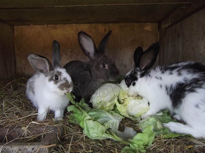 Ferme Equestre de la Yame