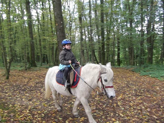 Ferme Equestre de la Yame