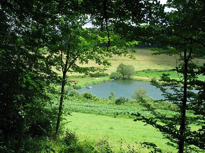 Etangs de la peche à la mouche