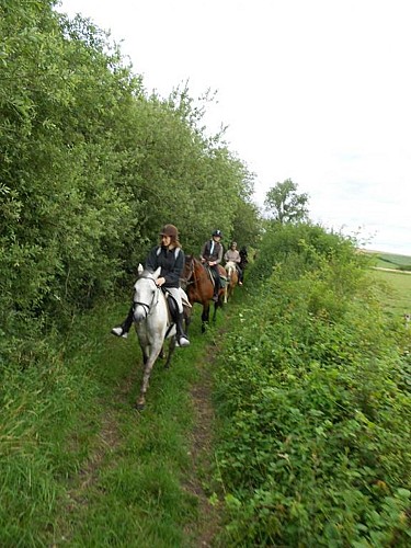 Les Crins de Verdure