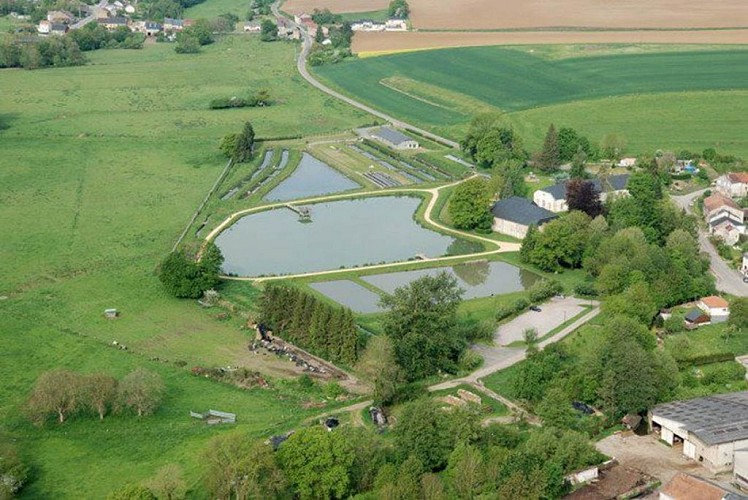 La piscicluture de Vendresse