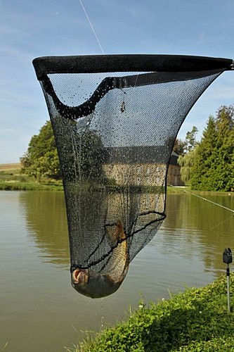 La pisciculture de Vendresse