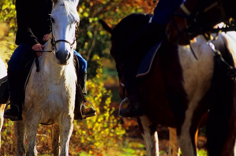 Poney Club de la "Marfée"