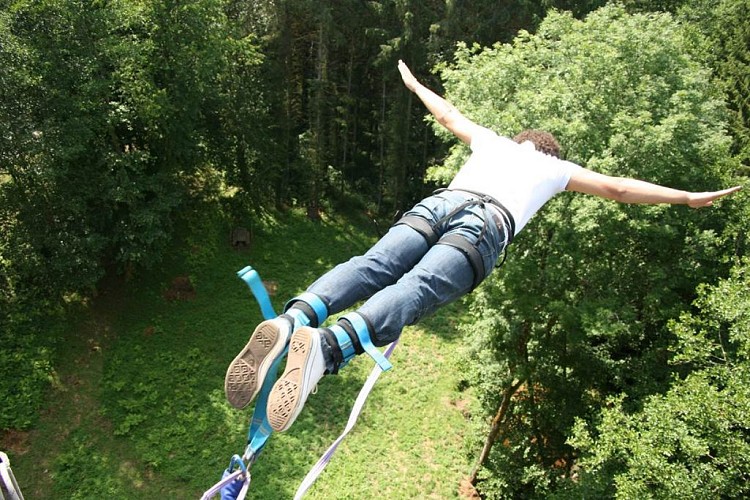 Adrénaline Élastique