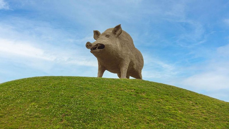 Visuel Woinic place holder