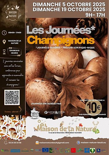 Sortie Champignons
