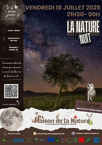 La nature la nuit