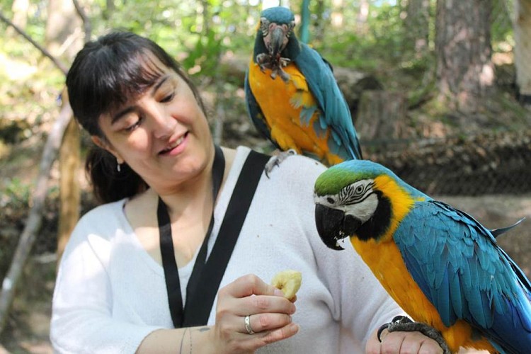 Animalier d'un jour : une participante nourrit les perroquets