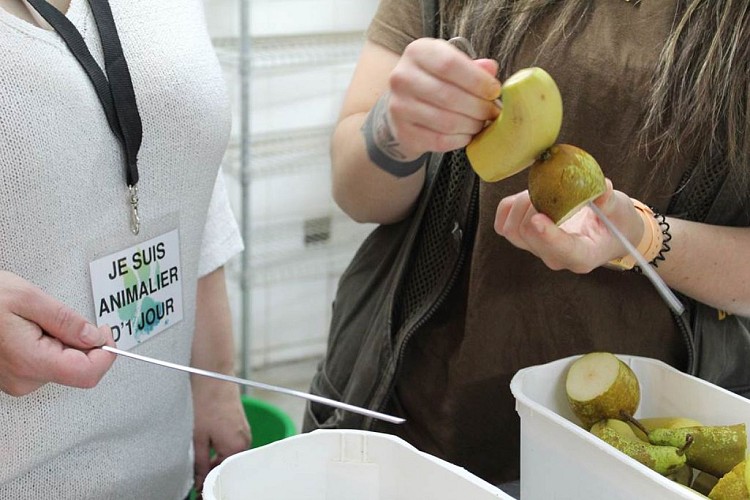 Animalier d'un jour - préparez les rations des animaux