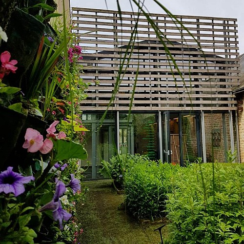 Jardin plantes teintures