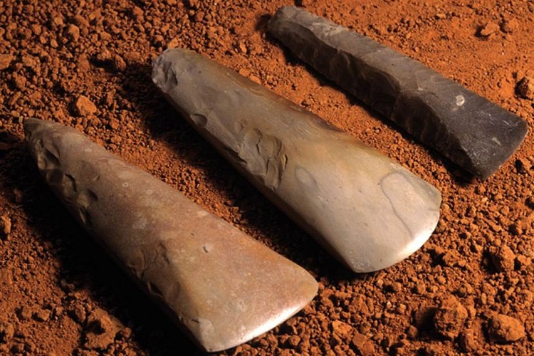 Le Musée de l'Ardenne